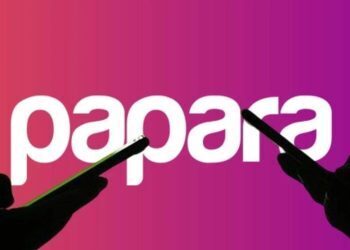 Papara satışa çıktı