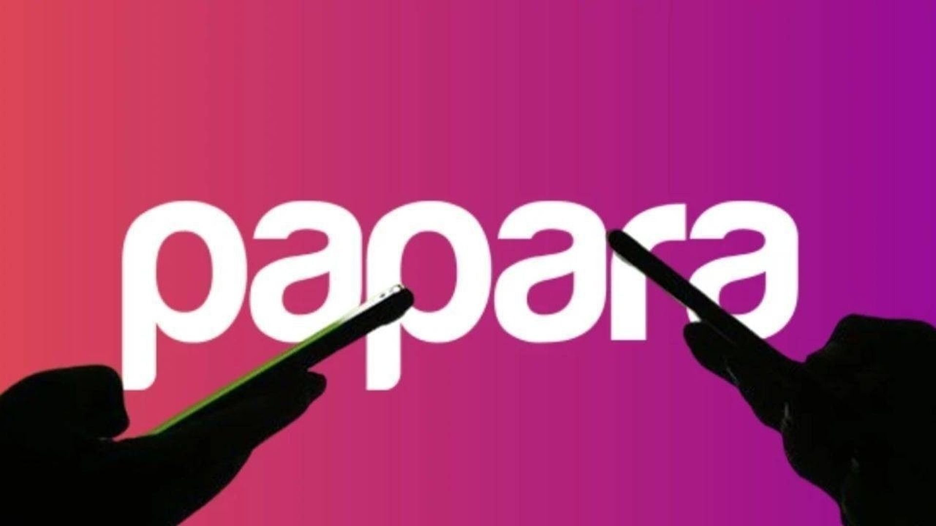 Papara satışa çıktı