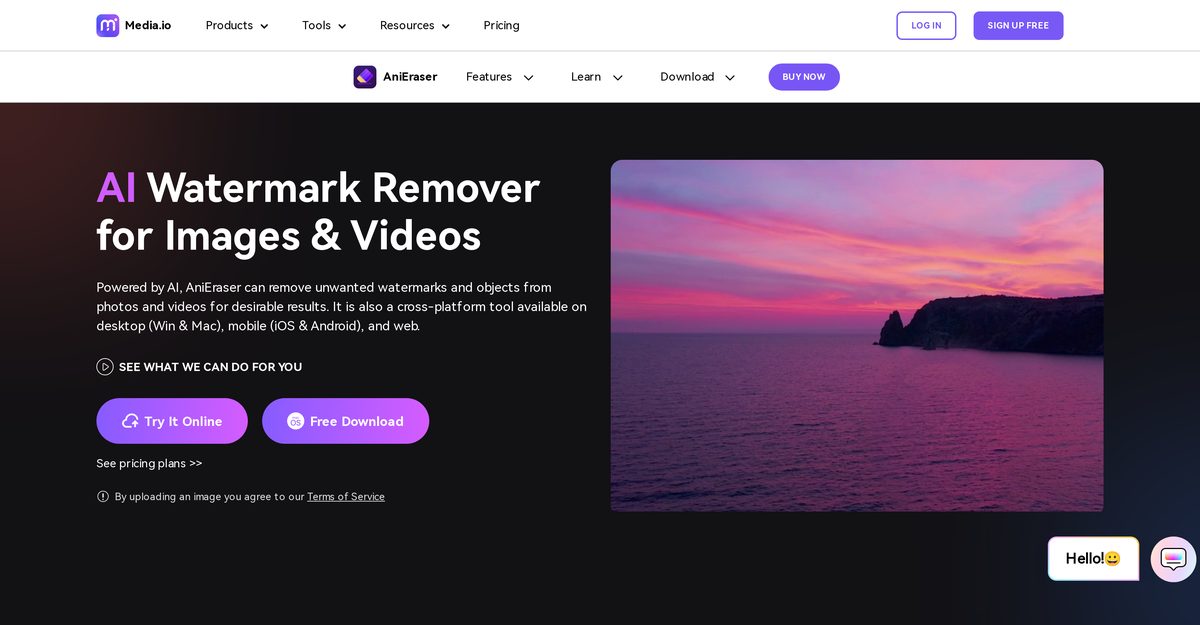 anieraser watermark remover