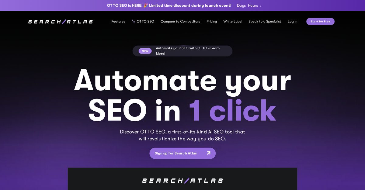 otto seo reviews