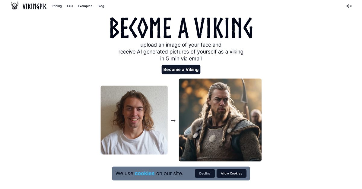 viking profile picture