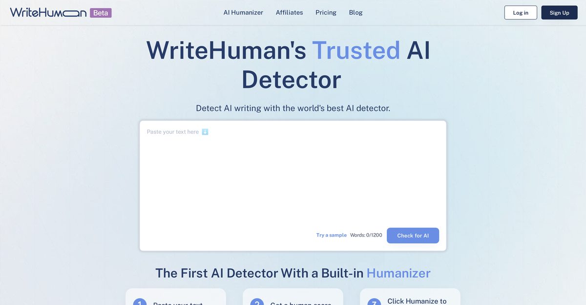 write human ai detector